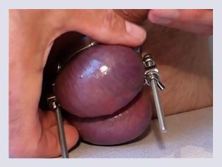 CBT Separated Testicles - bdsm, gay, cbt