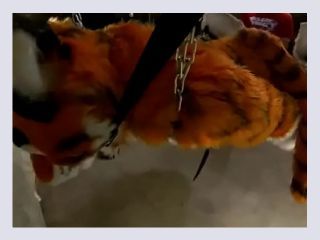 Bound furry penetrated but not allowed to cum - bdsm, bondage, gay