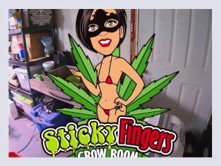 Episode 2 of sticky fingers grow room