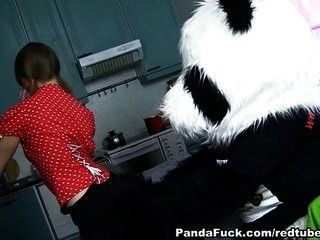 Strap on sex in the kitchen with a panda