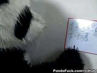 Horny innocent babe rides panda