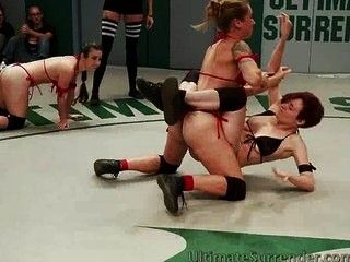 Sexy bikini girls wrestling 