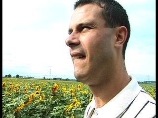 Having fun in a field of sunflowers